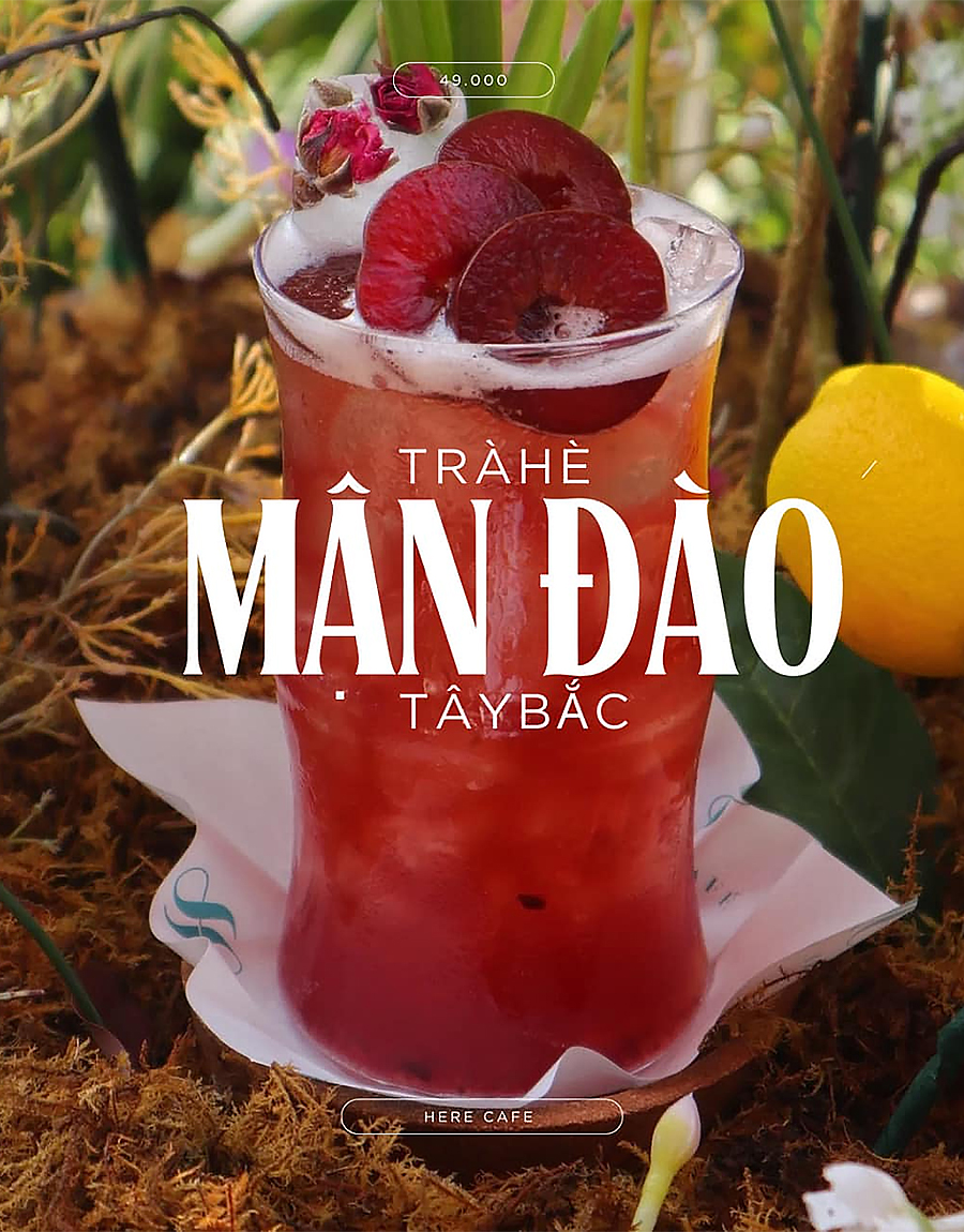 Trà Hè - Mận Đào Tây Bắc