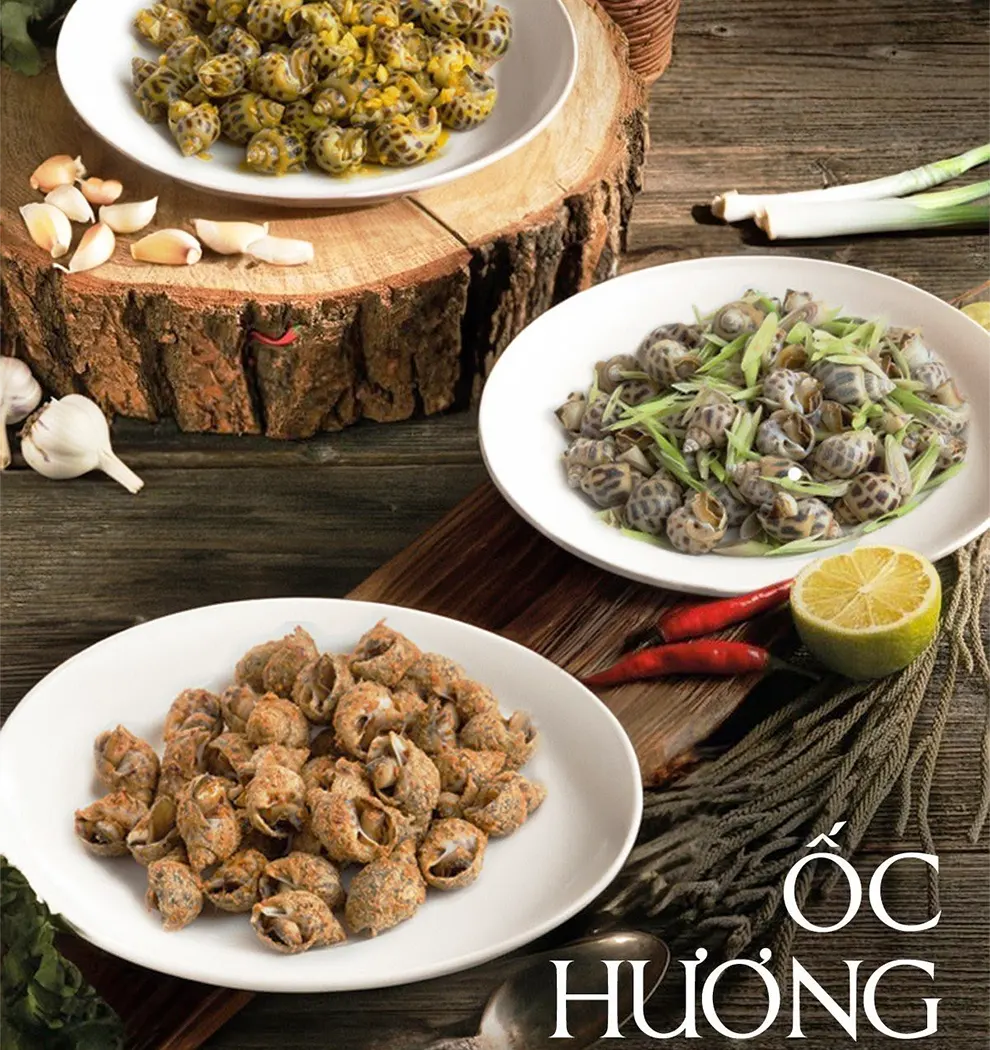 Ốc hương hay còn gọi là Babylonia areolata