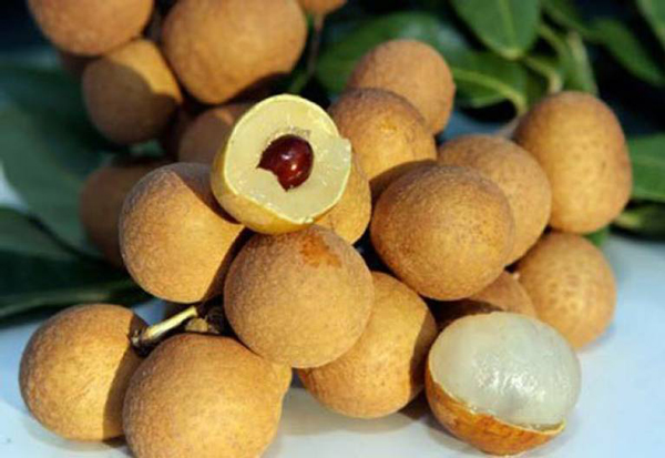 Nhãn lồng là món đặc sản Hưng Yên được rất nhiều người yêu thích