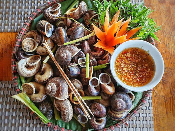 Ốc núi Ninh Bình