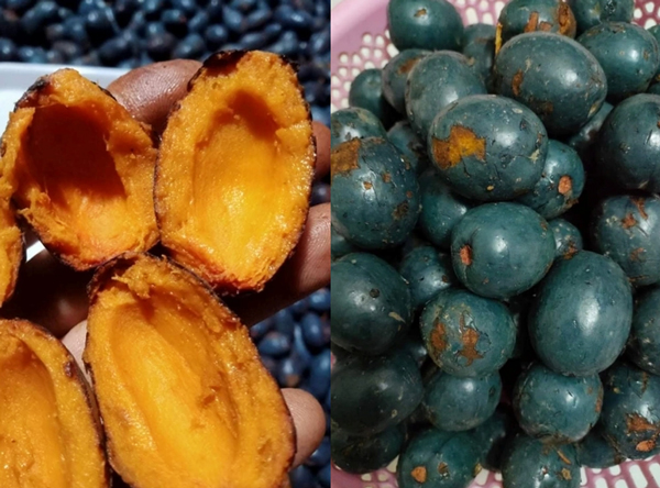 Cọ ỏm