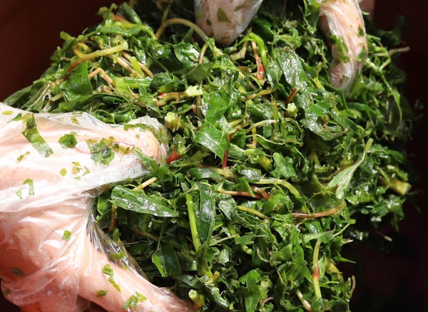 Rau sắn - thức ăn dân giã