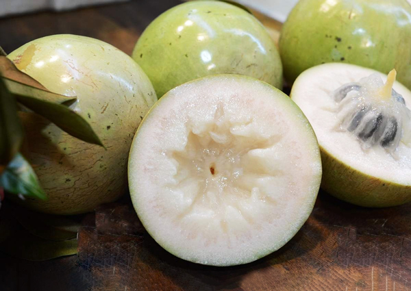 Vú sữa Lò Rèn