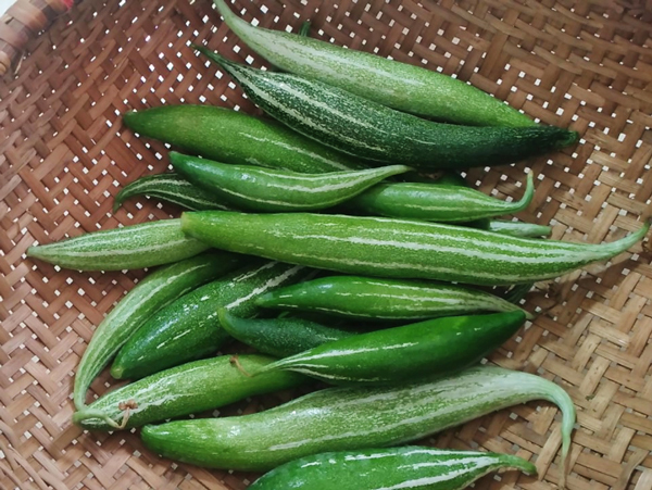 Quả lặc lày